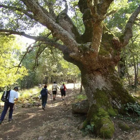 Oda ve Kahvaltı L' Edera 3*