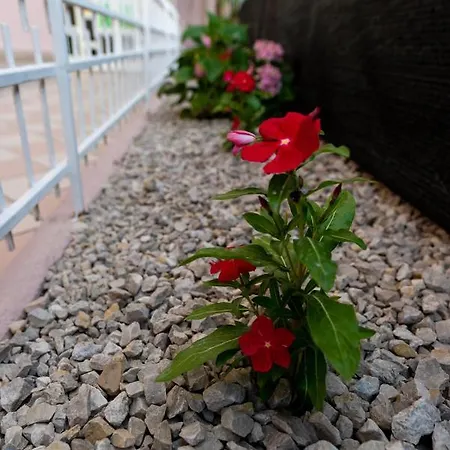 L' Edera Bed & Breakfast 3*